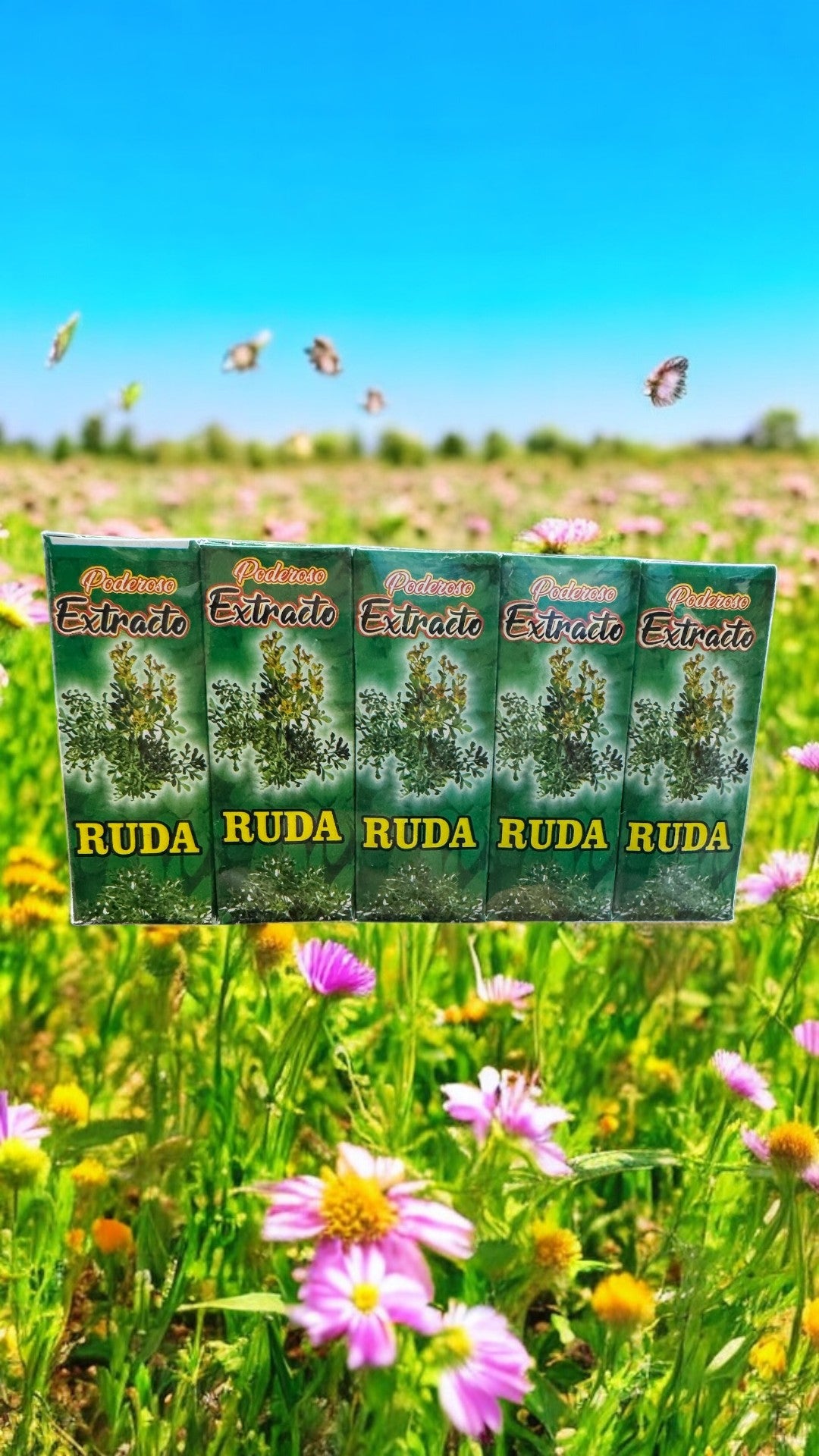 Rue Extract Packet of 10/ Extracto de Ruda Packet of 10