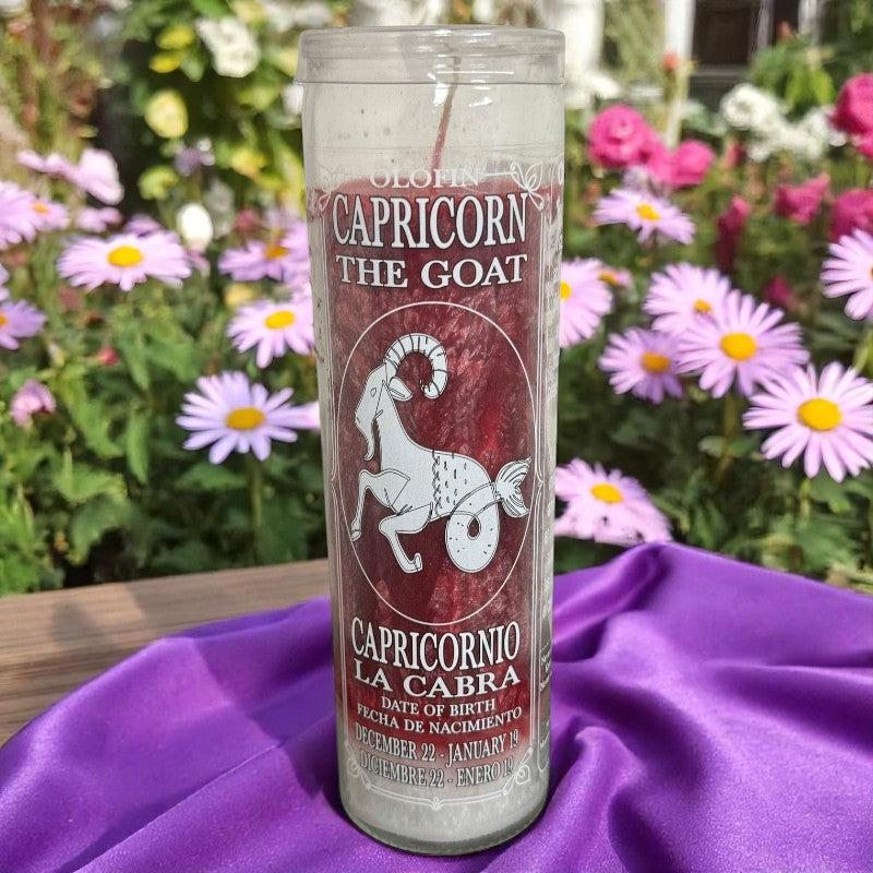 Capricorn The Goat Palm Wax Candle / Vela De Cera De Palma De Capricornio la cabra Pack of 2