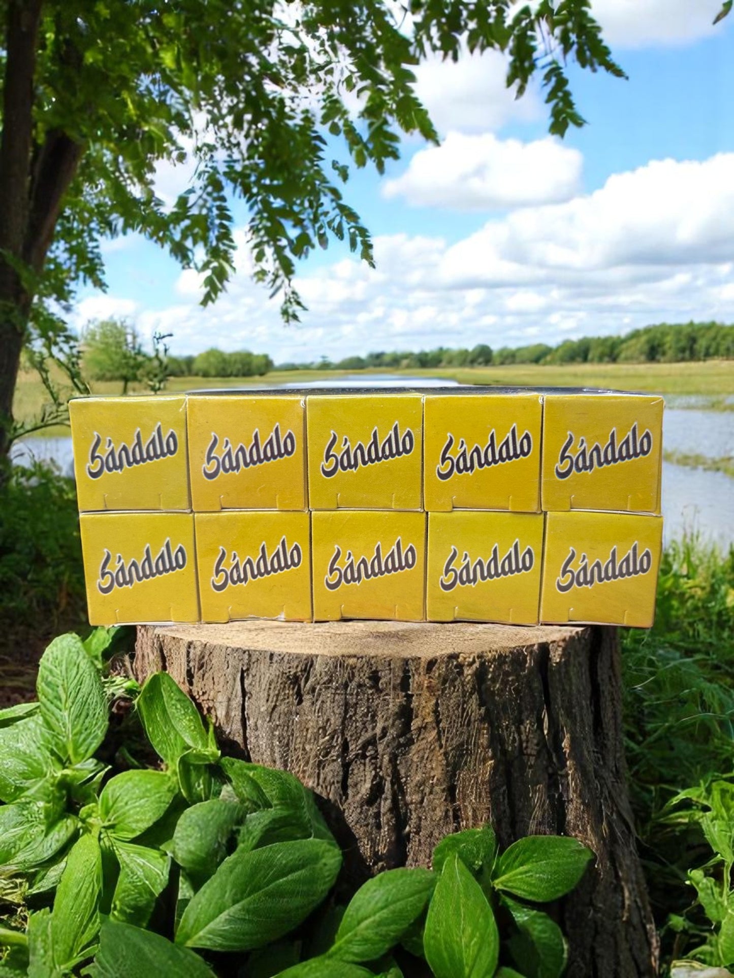 Sandalo Extract / Extracto Sandalo Pack of 10