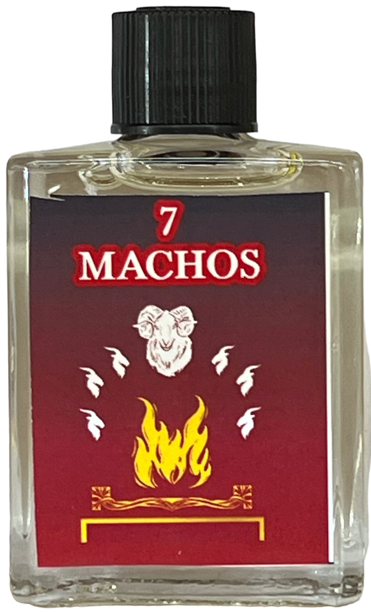 7 Machos Aceite Pack of 2