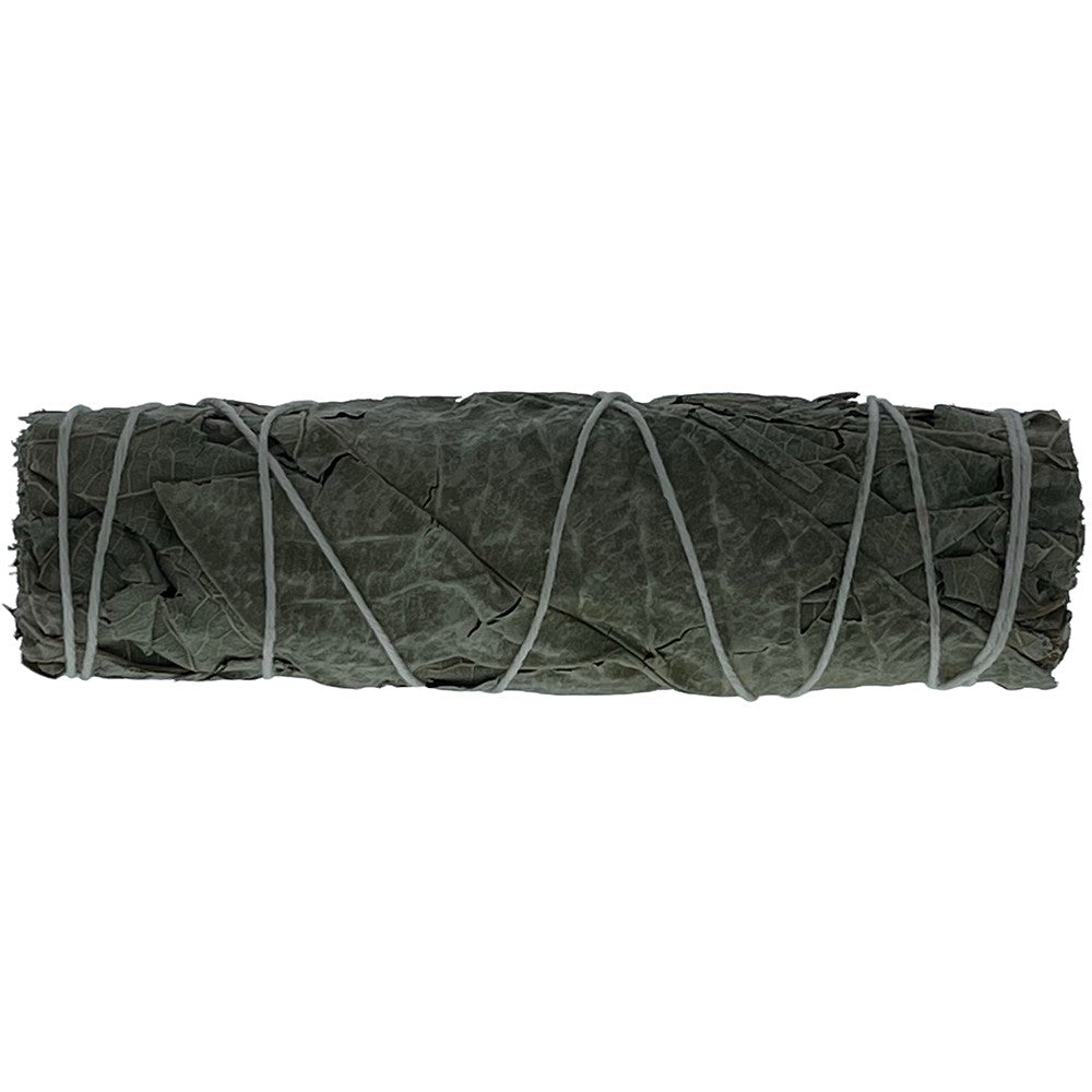 SAGE 4' GUAYABA LEAF