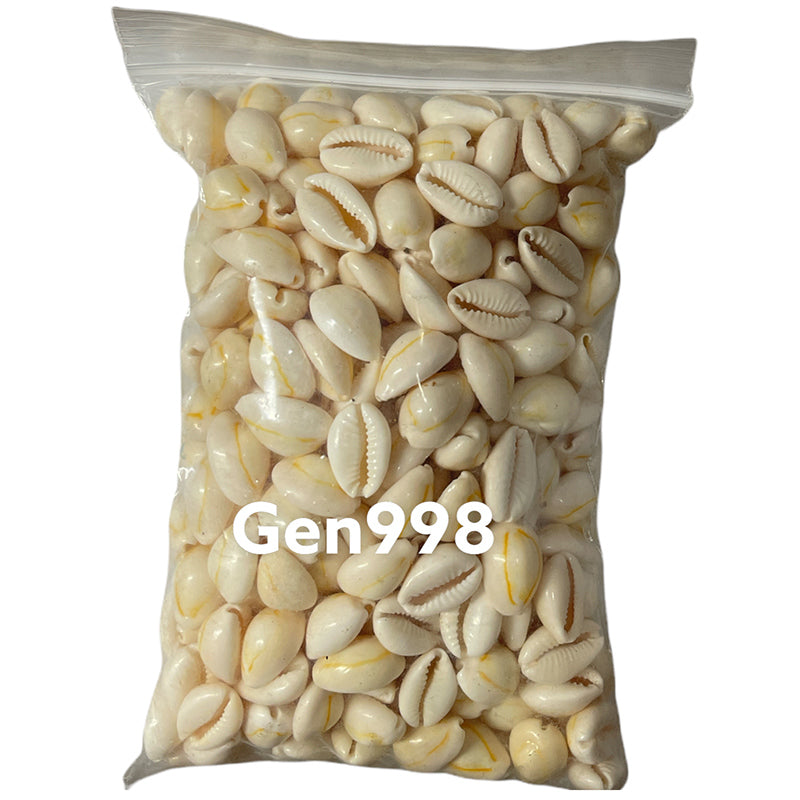Cowry 1 libras