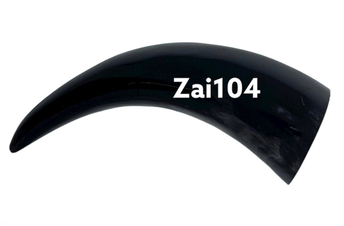 ZAI104 Horn
