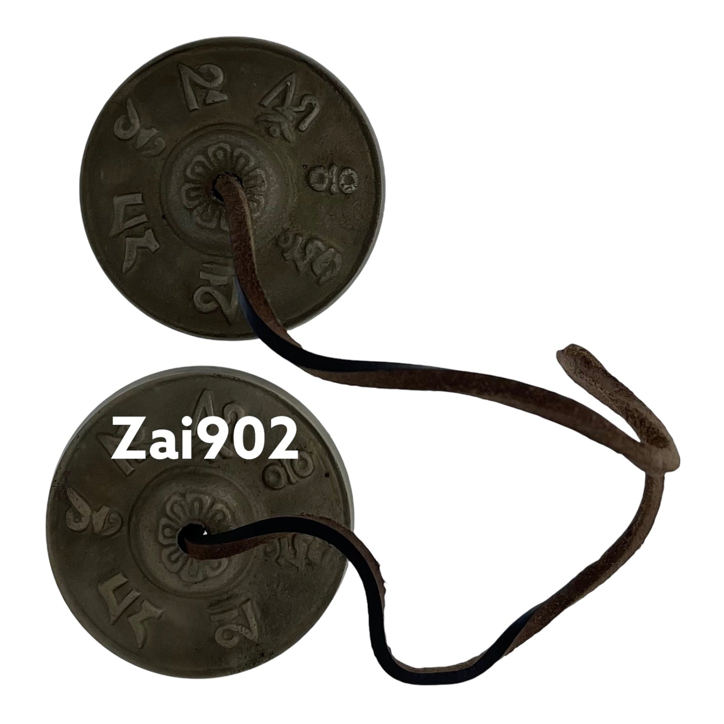 Zai902
