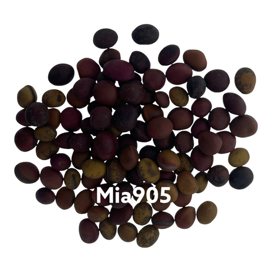 Mia905
