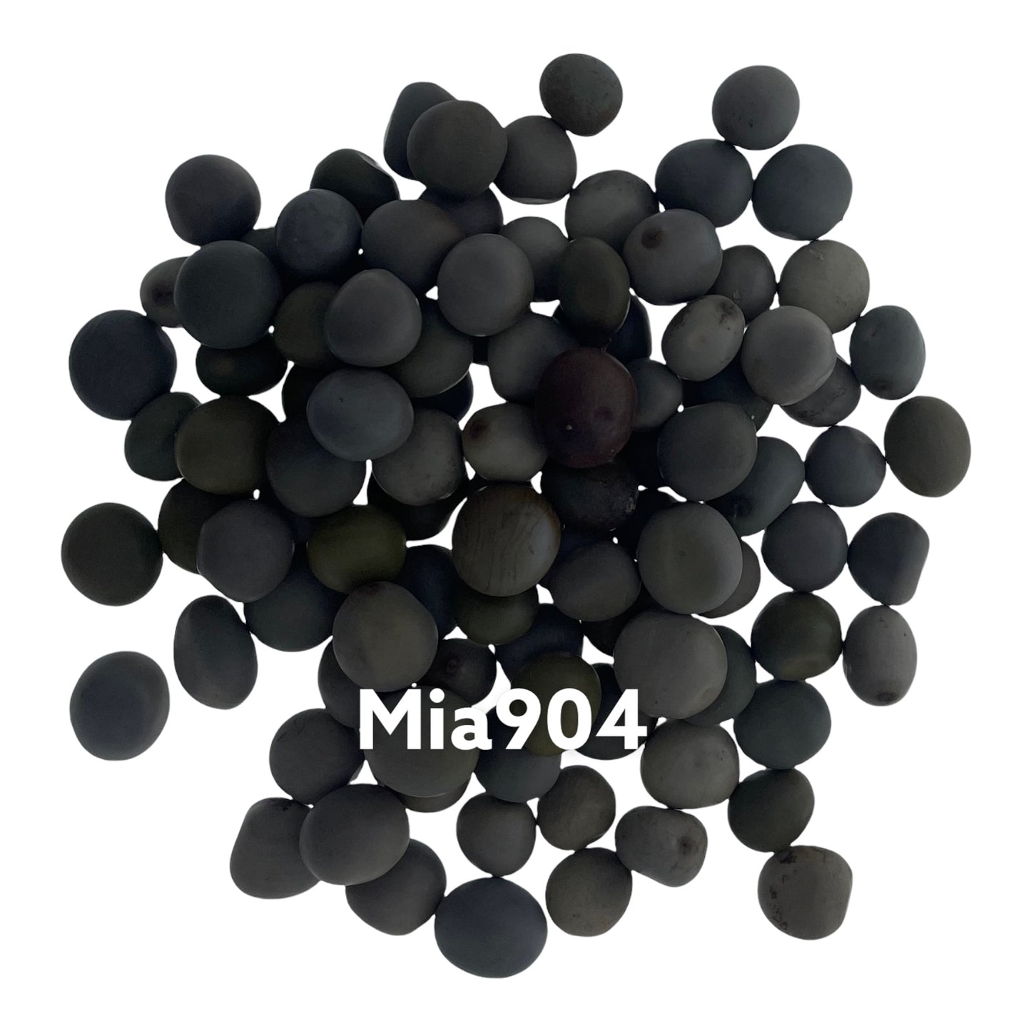 Mia904