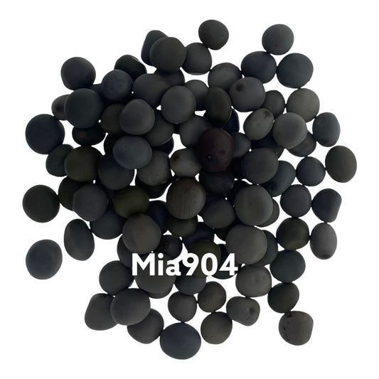 Mia904