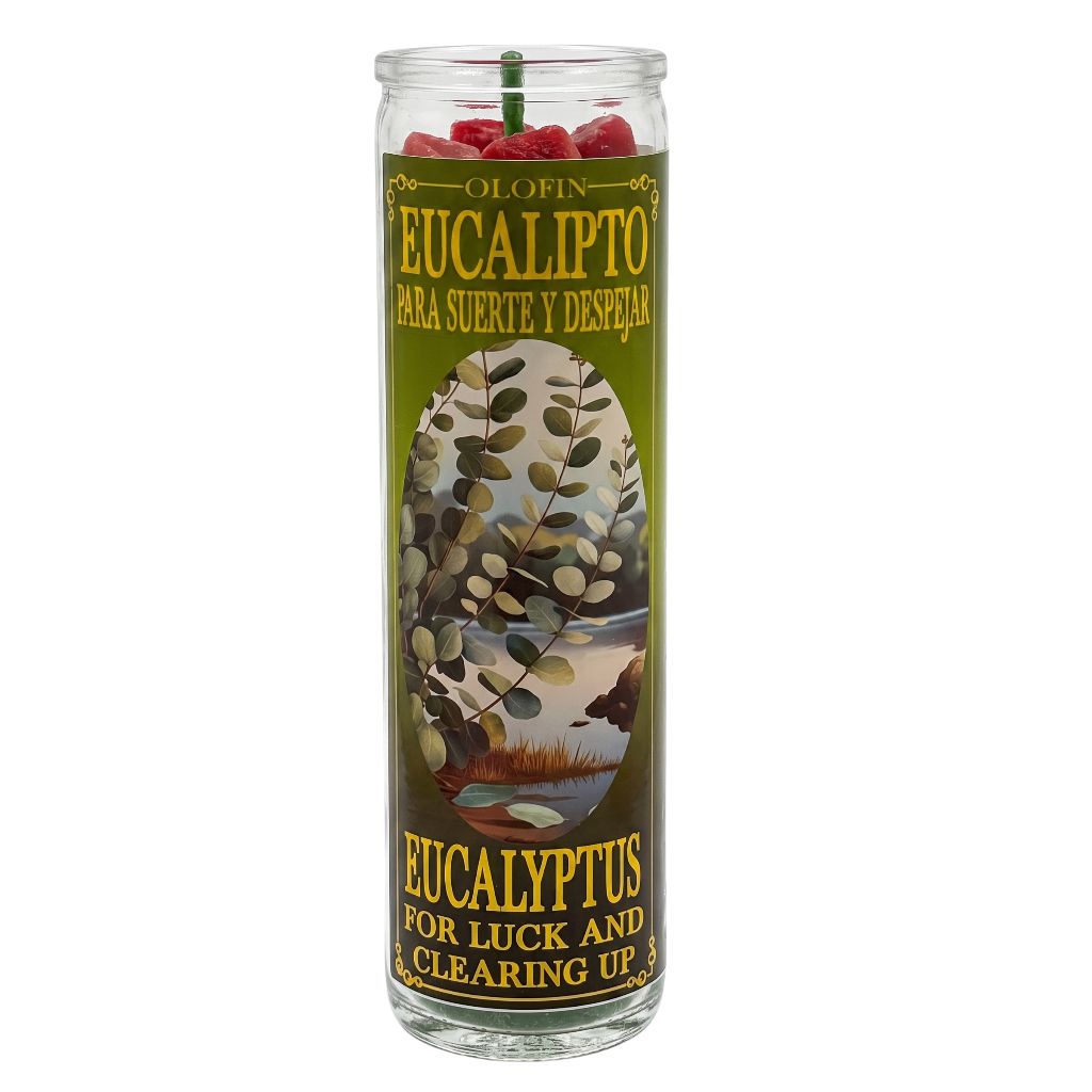 A tall glass jar candle labeled 'Olofin Eucalipto' with red berries visible at the top and a green label featuring eucalyptus leaves and text, shown on a plain white background.