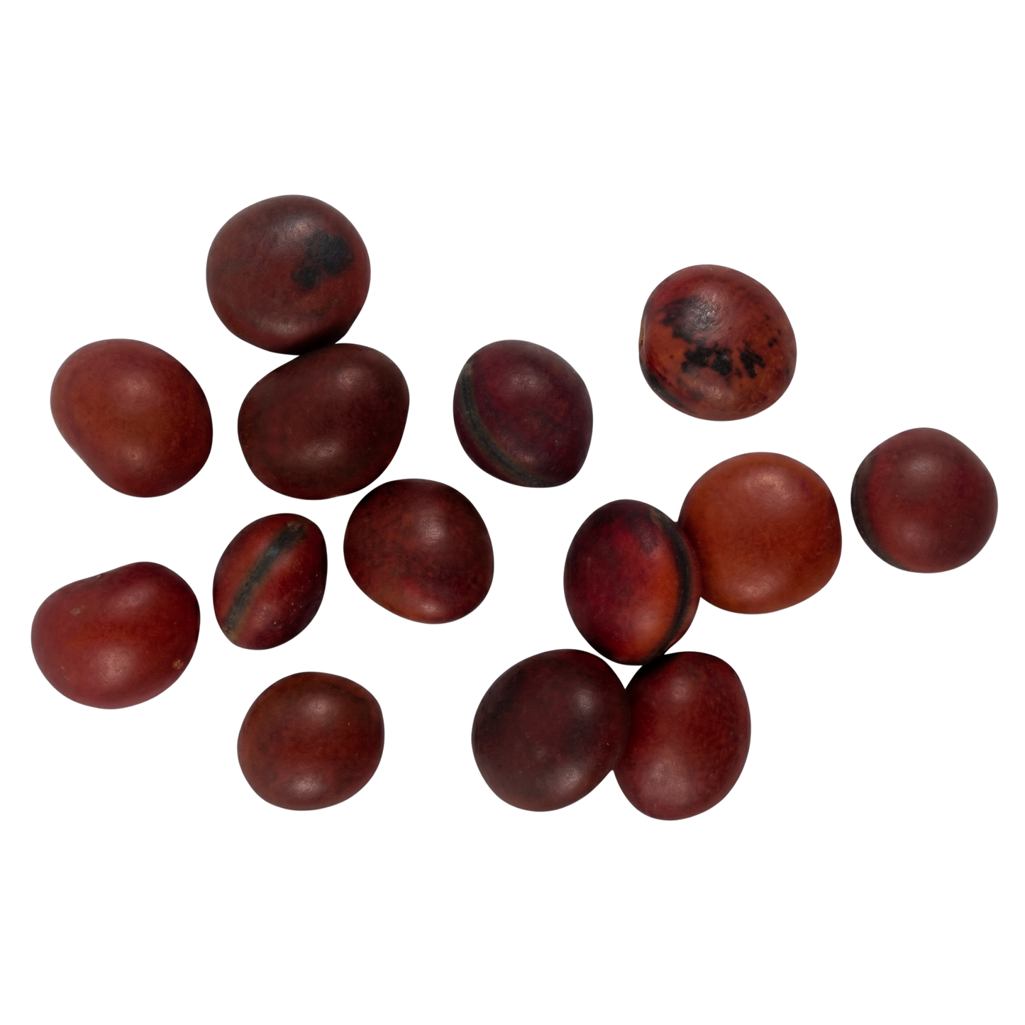 Matte Rojo