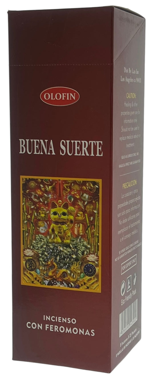 Buena Suerte Square Incense 25/8ct