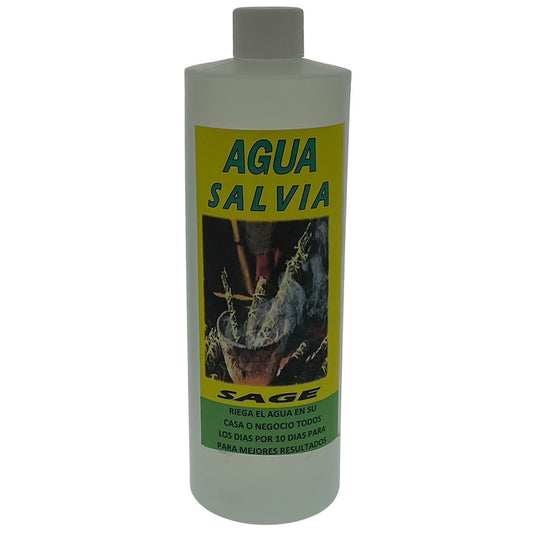 SALVIA SAGE 12ct