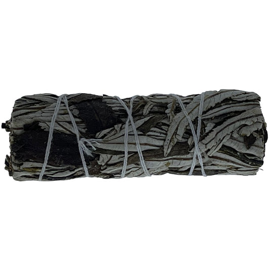 S 4' HERBA SANTAS 4' HERBA SANTA