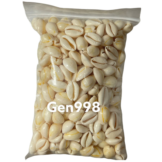 Cowry 1 libras